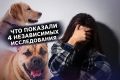 ������ � �����: ��� ���� ������ ������ �� ��������� ��������
