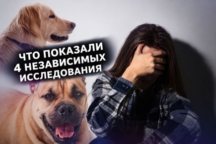 ������ � �����: ��� ���� ������ ������ �� ��������� ��������