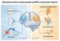 Тревога и её нейробиологические основы