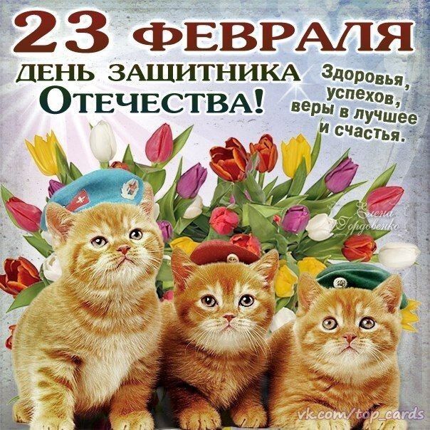 Кого предпочитает кот: как мужчина становится любимцем