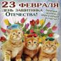 Кого предпочитает кот: как мужчина становится любимцем